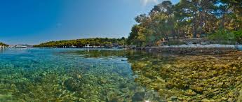 Palmižana